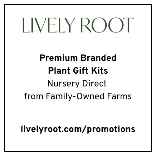 Lively Root Promo Lively Root Promo
